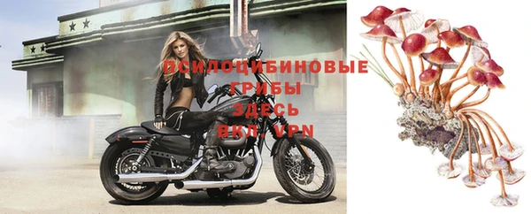 кокаин колумбия Алзамай
