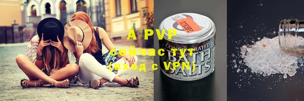 a pvp Абаза